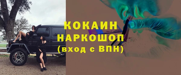 ешки Арсеньев