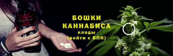 ешки Арсеньев