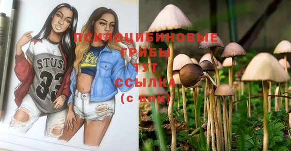 ешки Арсеньев